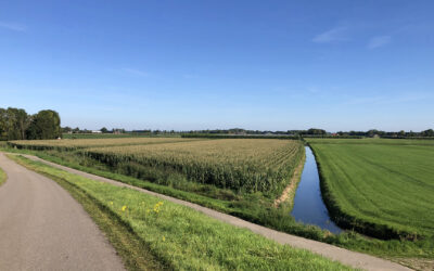 Kabinetsreactie op fiscale knelpunten agrarische sector