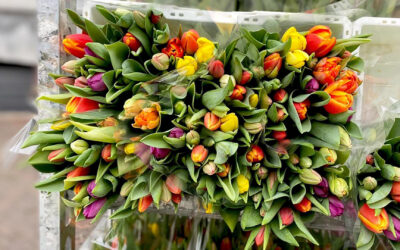 Bloemen voor nieuwe werknemer belast?