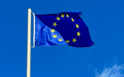 Heeft een buitenlands belastingplichtige recht op volledige ondernemersaftrek?