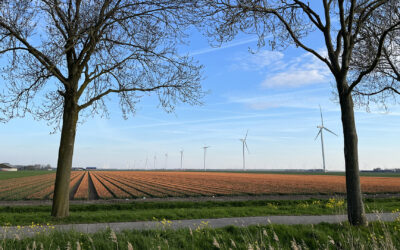 21% btw op sierteeltproducten vanaf 2028